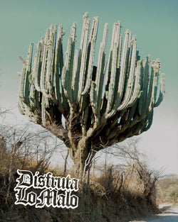 Disfruta Lo Malo