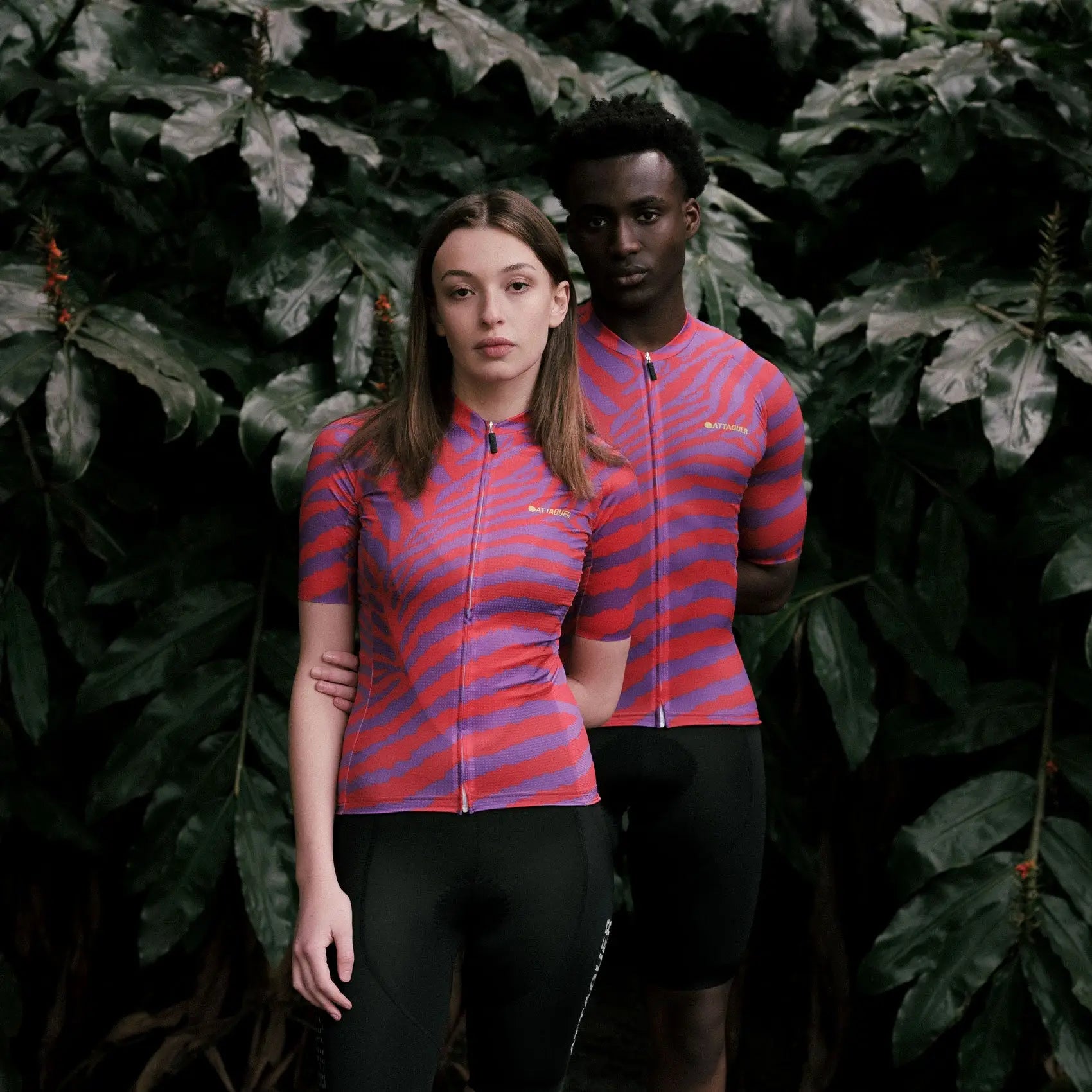 Limited: The Wild Ones