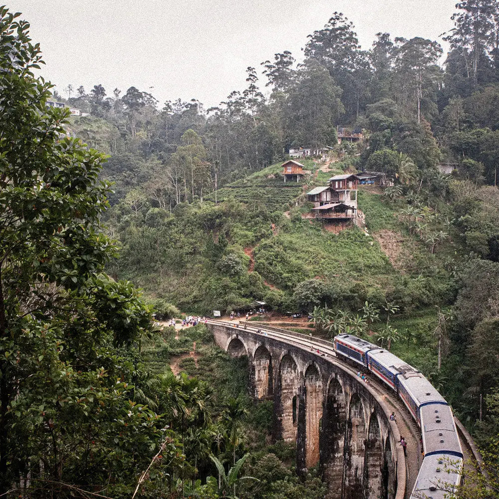 Sri Lanka: Ride The Island