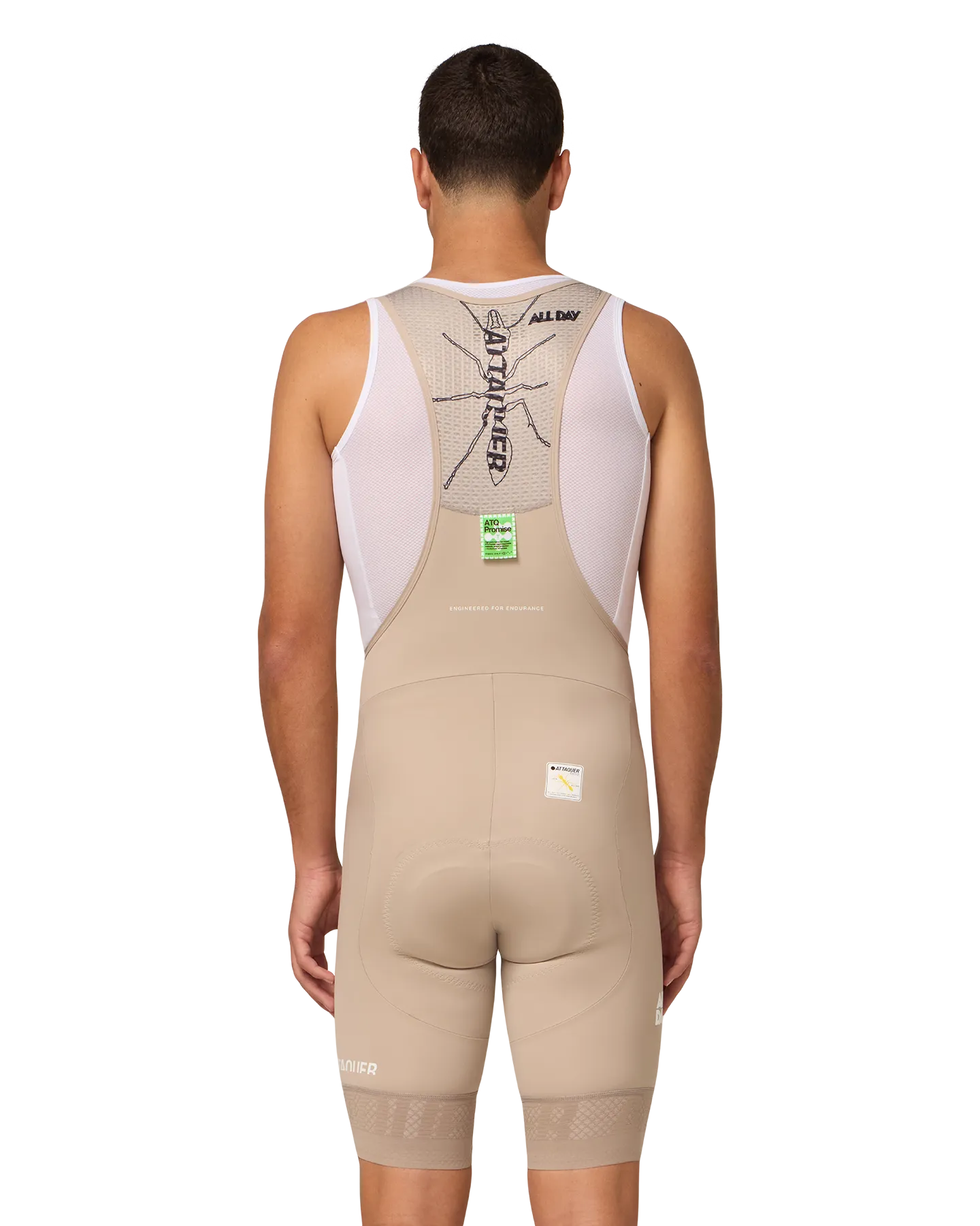 All Day Bib Short Eggshell-Attaquer-Attaquer