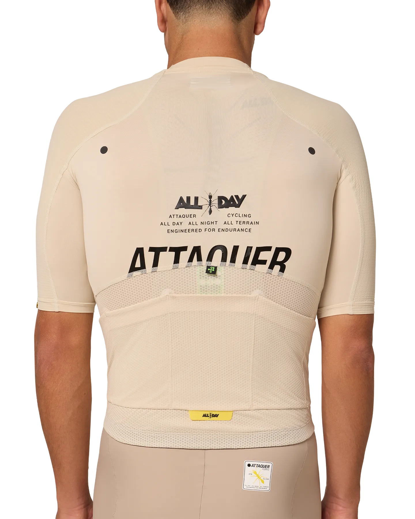 All Day Jersey Eggshell-Attaquer-Attaquer