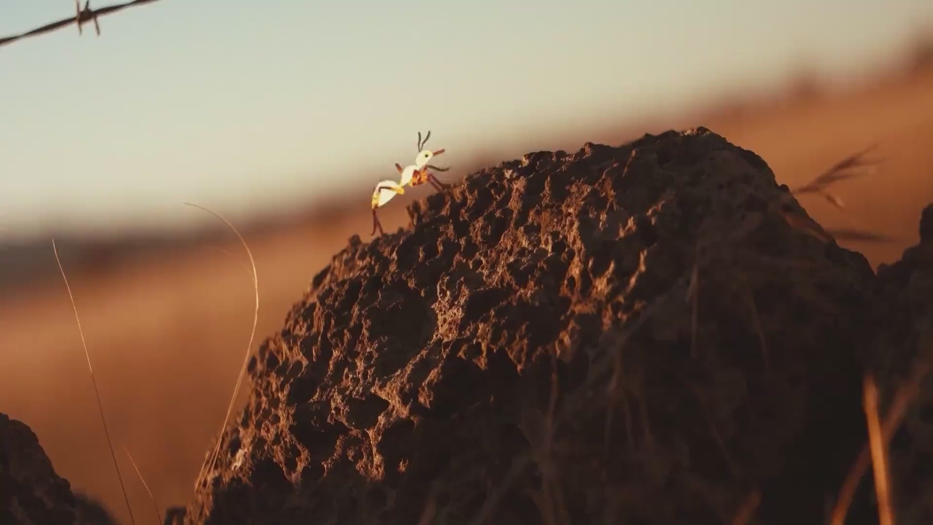 ALLDAY_HeaderVideo_Desktop_V2